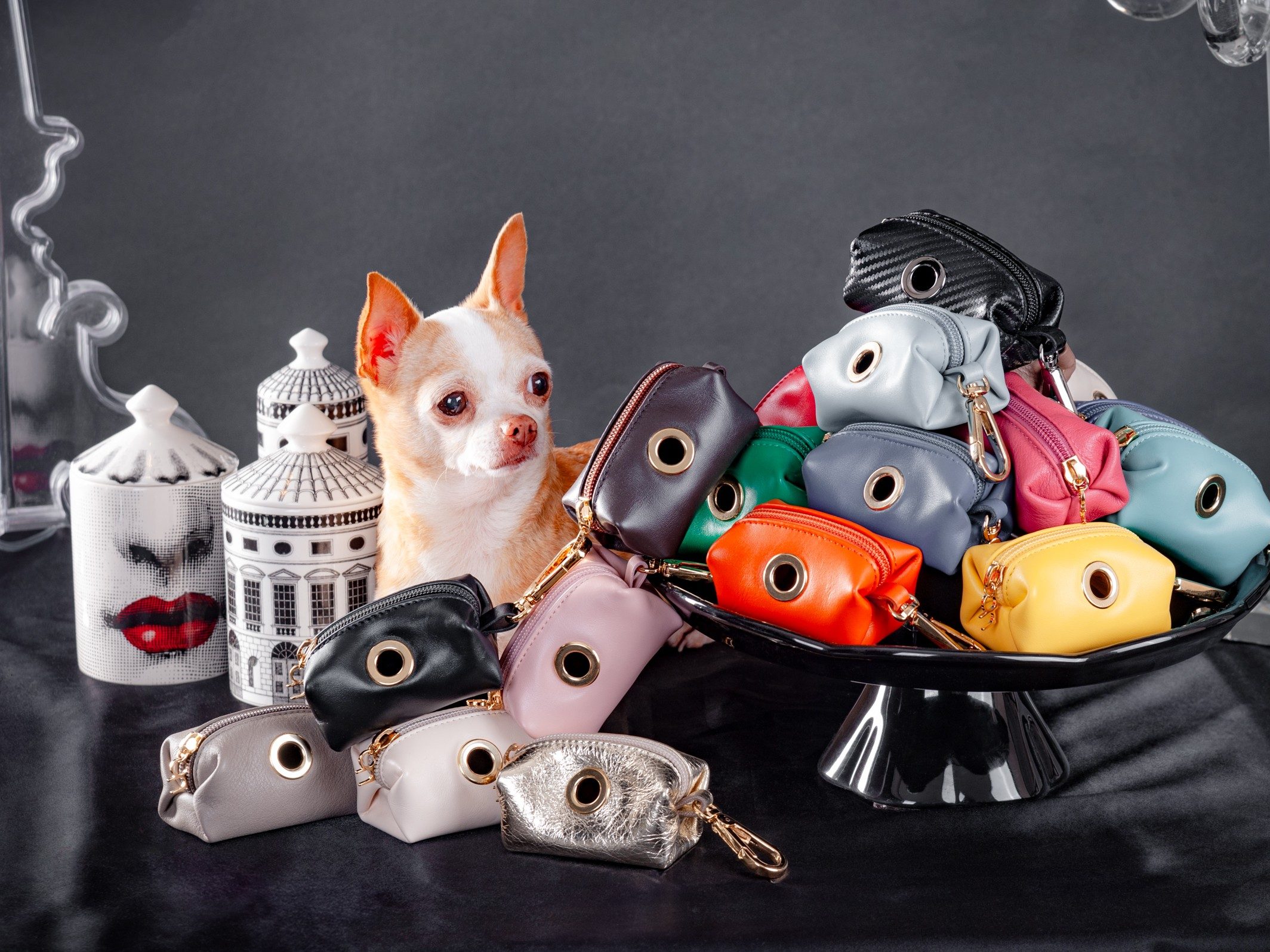 ACCESSORI