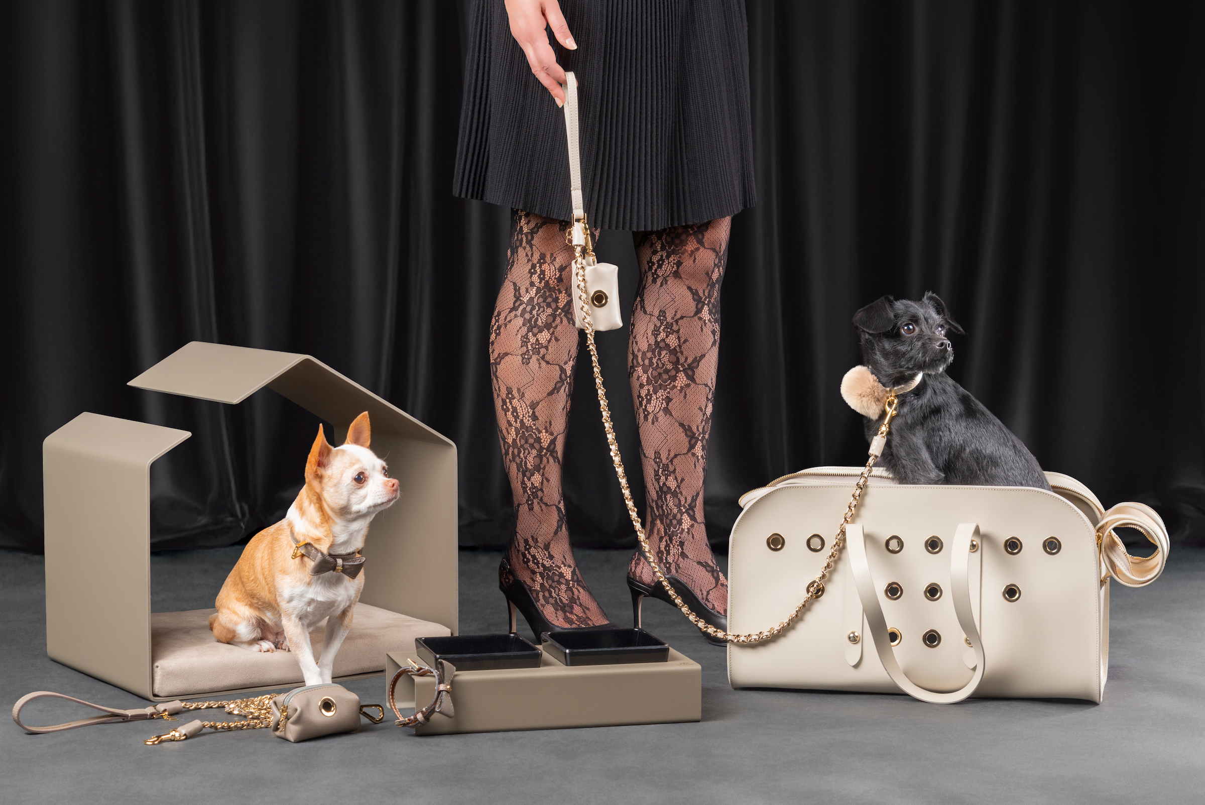 Home | not too pet®