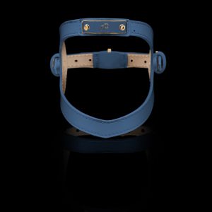 CURVE GLAZED HARNESS - LIGHT GOLD